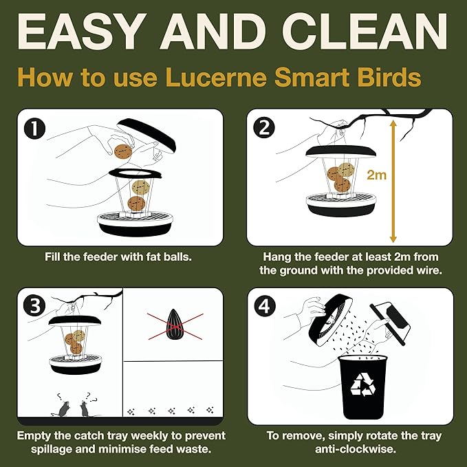 SWISSINNO Bird Feeders - No Mess Fat Ball/Suet Feeder for Outdoors Hanging - Smart Birds Lucerne Spill Proof Wild Cardinal Bird Feeder with Integrated Seed Catcher Tray - Green