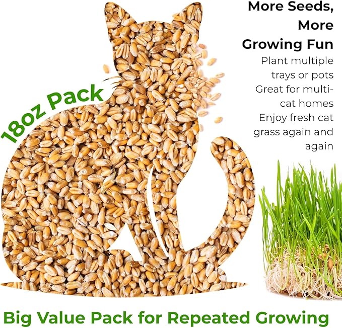18oz Cat Grass Seeds Bulk - Over 14000+ Premium Cat Grass for Indoor Cats & Pets, High Germination Rate & Easy to Grow, Non-GMO Wheat Grass Seed for Planting(510g)