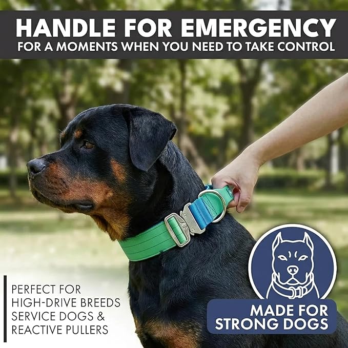 Spark Paws Tactical Dog Collar - Heavy Duty, Premium Quality, Thick and Durable for Large and Medium Dogs - Lime Wave - S - 1.5"