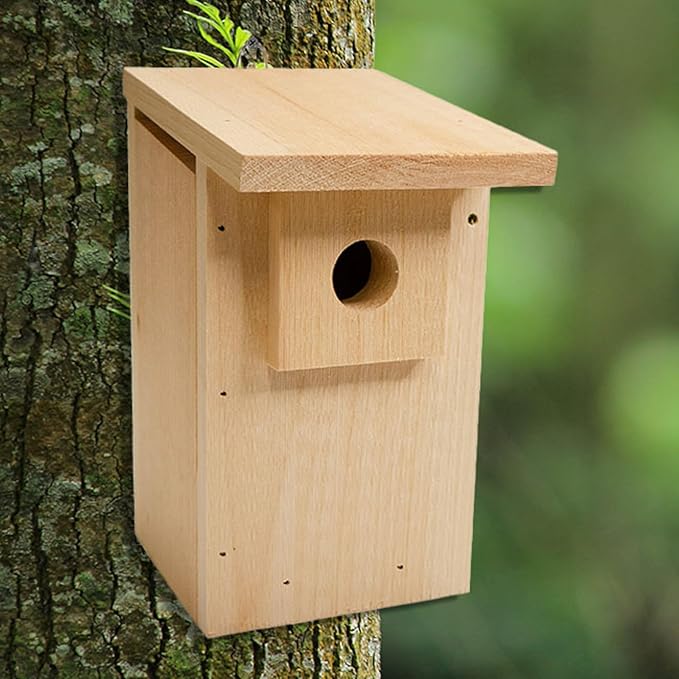 Coveside Basic Western Bluebird Trail Box | Durable Pine Birdhouse with 1.5625" Predator Guarded Entry, Ventilation & Drainage | Eco-Friendly Wooden Nest Box for Bluebirds | Made in USA