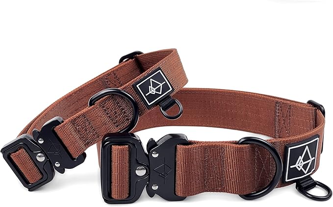Made to ROAM Premium Dog Collar - Adjustable Heavy Duty Nylon Collar with Quick-Release Metal Buckle (Arizona Heartbeat, Classic Size 2)