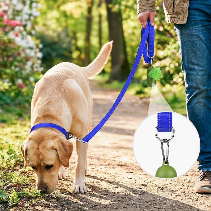 Joytale Dog Leash, 6 FT Double-Sided Reflective, Padded Handle Nylon Heavy Duty Leashes for Medium & Large Dogs Walking, Navy Blue