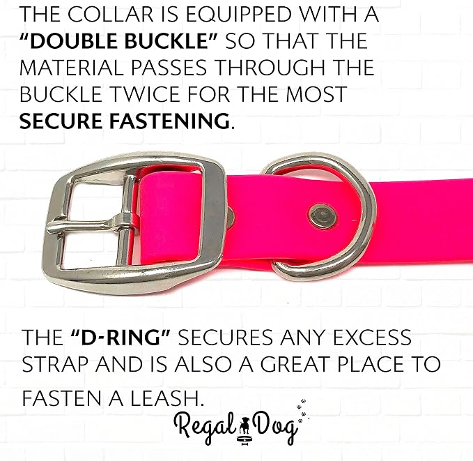 Regal Dog Products Large Pink Waterproof Biothane Dog Collar and Leash Set | Heavy Duty Double Buckle & D Ring - 5'ft Leash | Adjustable, Chew Resistant Collar for Dogs