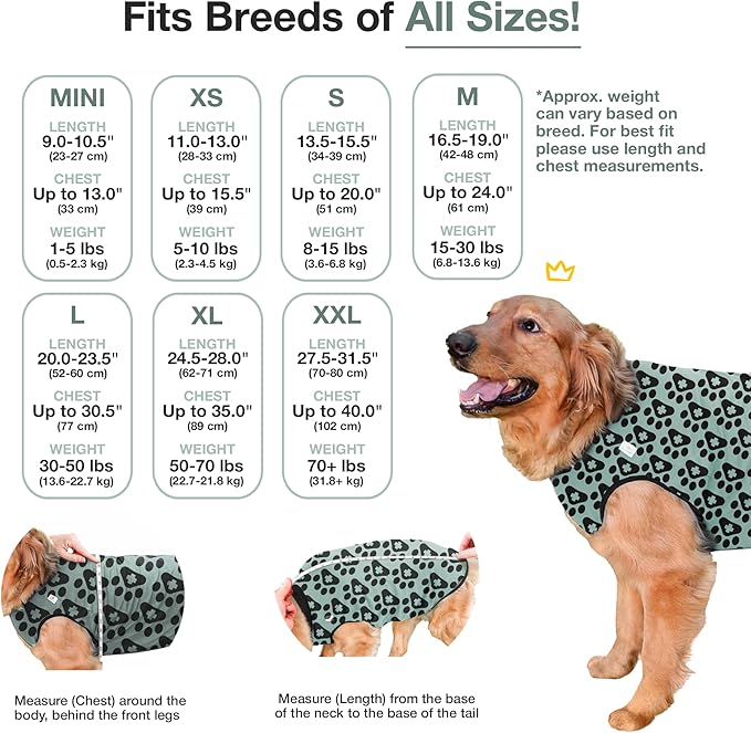 BellyGuard Dog Surgery Recovery Suit, Dog Onesie for Post-Op Care, Recovery Apparel for Female and Male, Surgical Body Cover for Canine Healing Support
