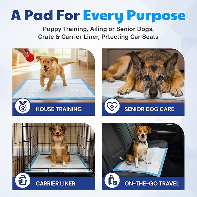 American Kennel Club Scented Puppy Training Pads with Ultra Absorbent Quick Dry Gel – 22 x 22 Pee Pads for Dogs - Fresh Scented - Pack of 100