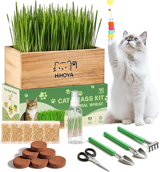 Cat Grass Kit for Indoor Cats - 5 Harvests Wheatgrass Growing Kit with Wooden Planter, Includes 6 Soil Disks, Spray Bottle, Tools & Scissors - Natural Hairball Control for Nipping & Nibbling