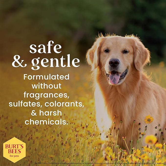 Burt's Bees for Pets Honey Multipurpose Dog Grooming Wipes, Gentle Hypoallergenic Spot Cleaning Sheets, pH Balanced Natural Origin Formula for Paws, Face and Butt, 50 Count - 6 Pack