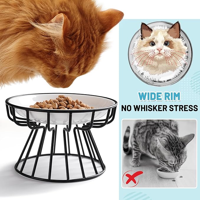 Cat Bowls, Elevated Cat Bowl, Raised Ceramic Dish with Metal Stand, Pet Water or Food Feeding Station for Indoor Cats, Kitten, Puppies and Small Dogs, Dishwasher Safe (Raised Cat Bowl(2 pack))