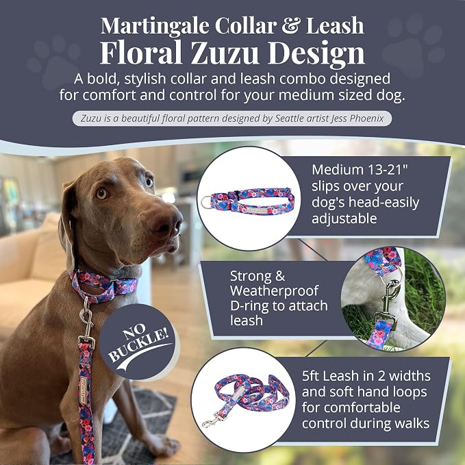 Lucky Love Dog Martingale Dog Collar & Leash - Adjustable, No-Slip, Durable, Comfortable, Soft Webbing, & Stylish Patterned Collar & Leash Set for Male and Female Dogs - Zuzu Combo, Medium