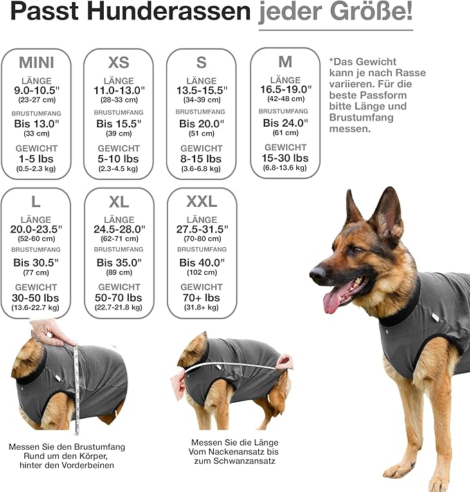 BellyGuard Dog Surgery Recovery Suit, Dog Onesie for Post-Op Care, Recovery Apparel for Female and Male, Surgical Body Cover for Canine Healing Support
