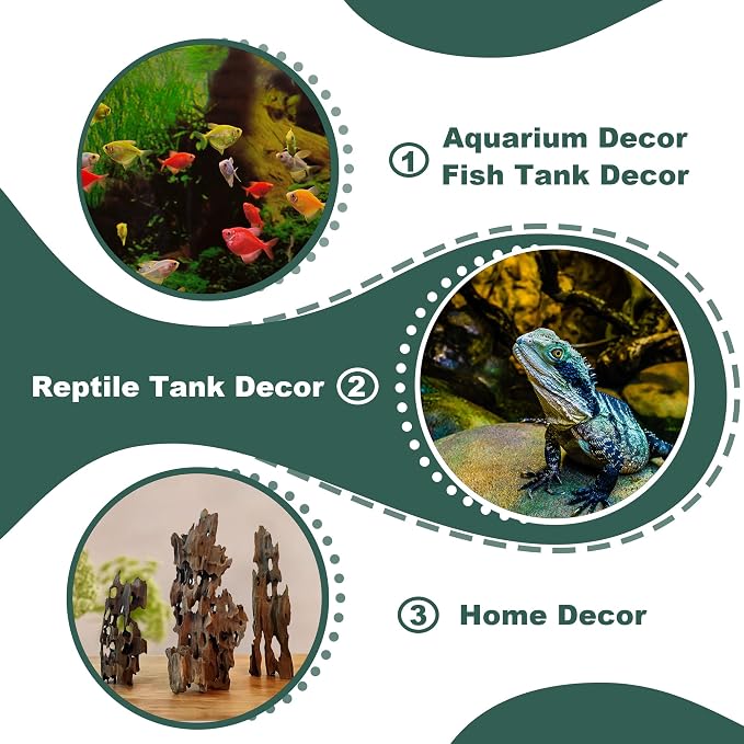 Natural Wood Driftwood for Aquarium Fish Tank Decor,Assorted Driftwood Trunk Branch for Reptile Tank Decor (SHP-XM Driftwood (6 to10 Inch)-Pack of 2)
