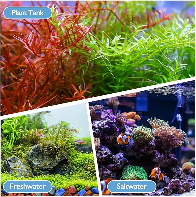 AQQA Aquarium Filter, 3W, 5-10 Gallon Tank | 79GPH Internal, Dual Water Outlet & Aeration, Crystal Clear Water, Submersible Pump & Filter System