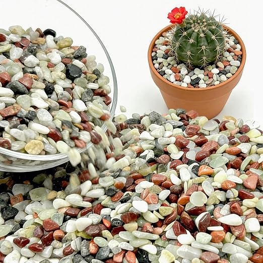 6Lb Polished Multi-Color Washed Rice Stone, 3/8 Inch Small Gravel | Fine Polishing, Water Permeability and Anti Slip, Noise Reduction and Wear Resistance, Natural Raw Stone
