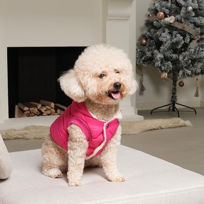 Vecomfy Fleece Lining Extra Warm Dog Hoodie in Winter,Small Dog Jacket Puppy Coats with Hooded Pink XS