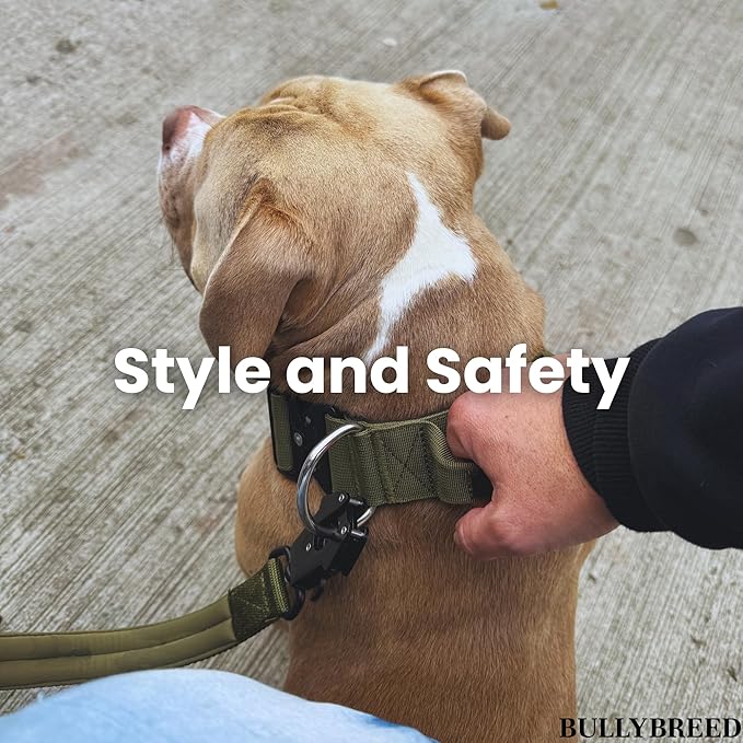 Heavy Duty Dog Collar, Tactical Dog Collar, Dog Collars for Medium Dogs, Waterproof Dog Collar, Dog Training Collar, Quick-Release Metal Buckle, Adjustable Sizes – BULLYBREED (Navy Blue, Medium)