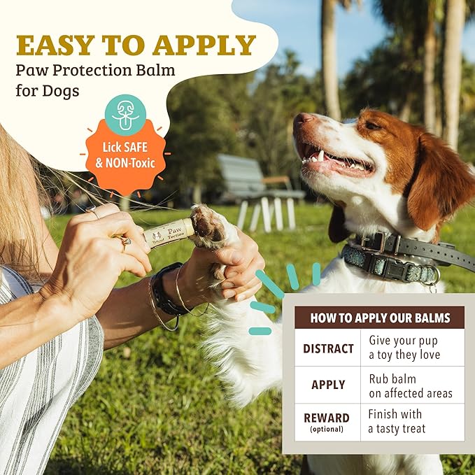 Natural Dog Company PawTection Dog Paw Balm, 4 Pack, Protects Paws from Hot Surfaces, Sand, Salt, & Snow, Organic, All Natural Ingredients (0.15 oz Travel Stick) X 4