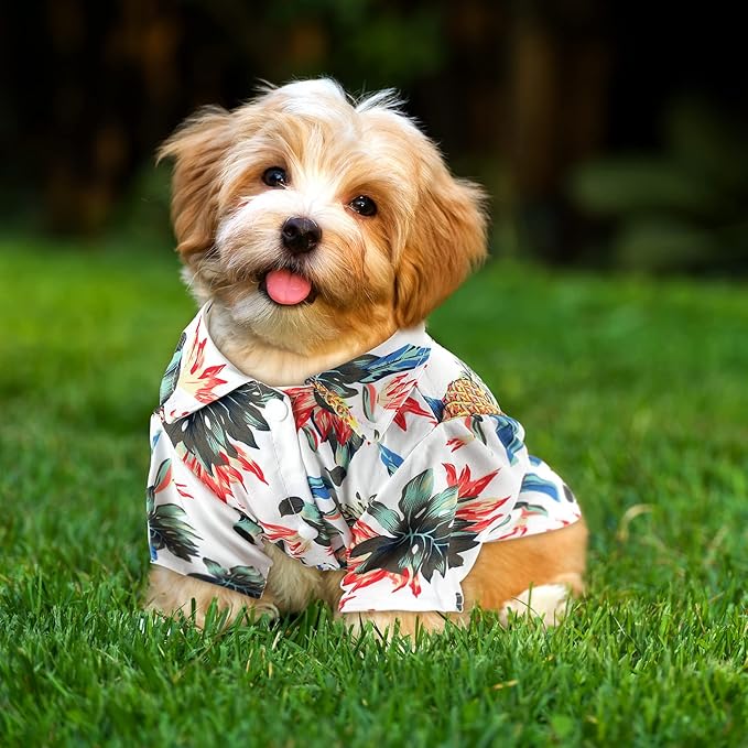 Weewooday 4 Pieces Small Pet Summer T-Shirts Hawaii Style Floral Pet Dog Shirt Breathable Cool Clothes Beach Seaside Puppy Sweatshirt for Puppy(Cute Style,Large)
