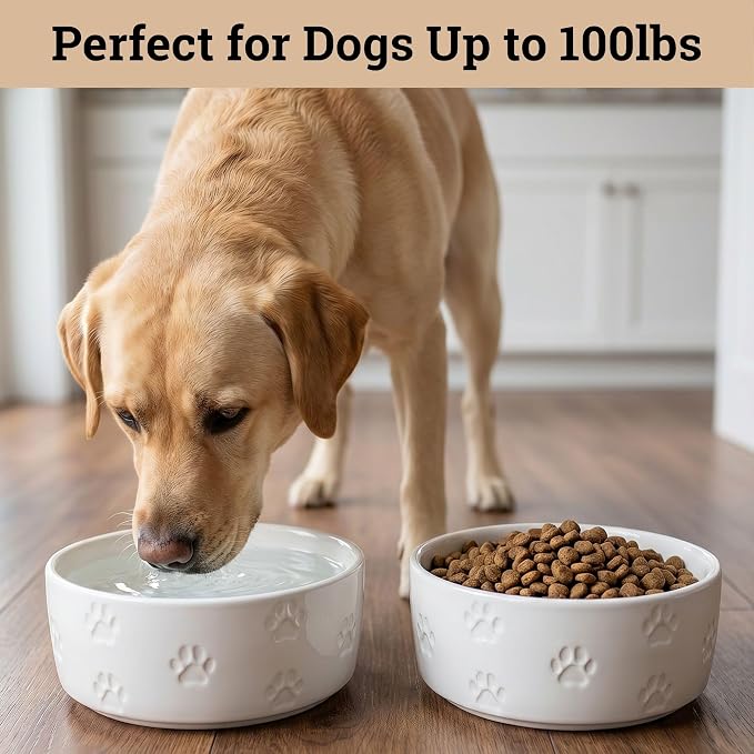 Ceramic Dog Bowl Set of 2 with Anti-Skid Base - 7.5" Wide x 3" Tall Ceramic Dog Bowls for Large Dogs - 6 Cup Capacity Food and Water Bowls for Dogs - Rubber Bottom Pet Bowl Set of 2 for Large Pets