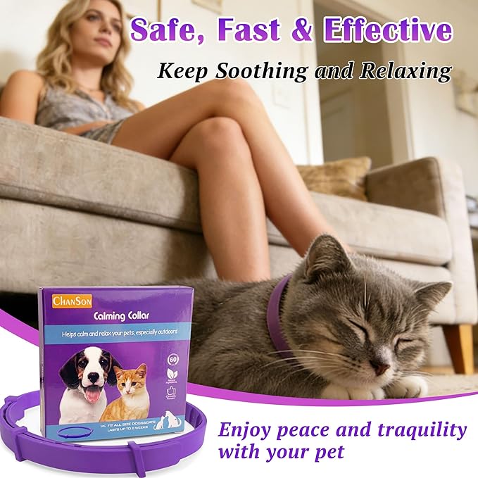 Calming Collar for Cats and Dogs — Relieves Separation Anxiety, Nervousness, and Inappropriate Urination in Dogs, ELasts Up to 8 Weeks (Purple), Adjustable Size, Suitable for All Body Types