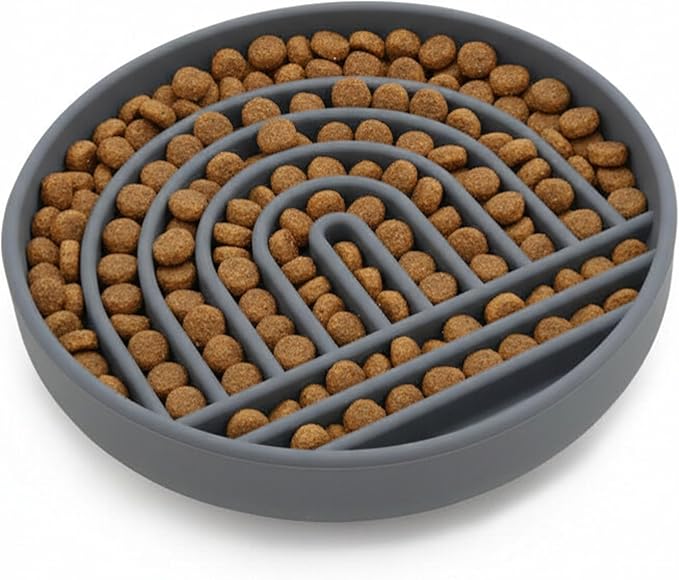 Should We Go? Slow Feeder for Dogs & Cats, The Slowdown Bowl Silicone Slow Eating Mealtime Solution with Modern Lick Mat Design, Reduces Gulping, Fits 1 Cup, 6” Across x 1.25” Tall, Small-Charcoal
