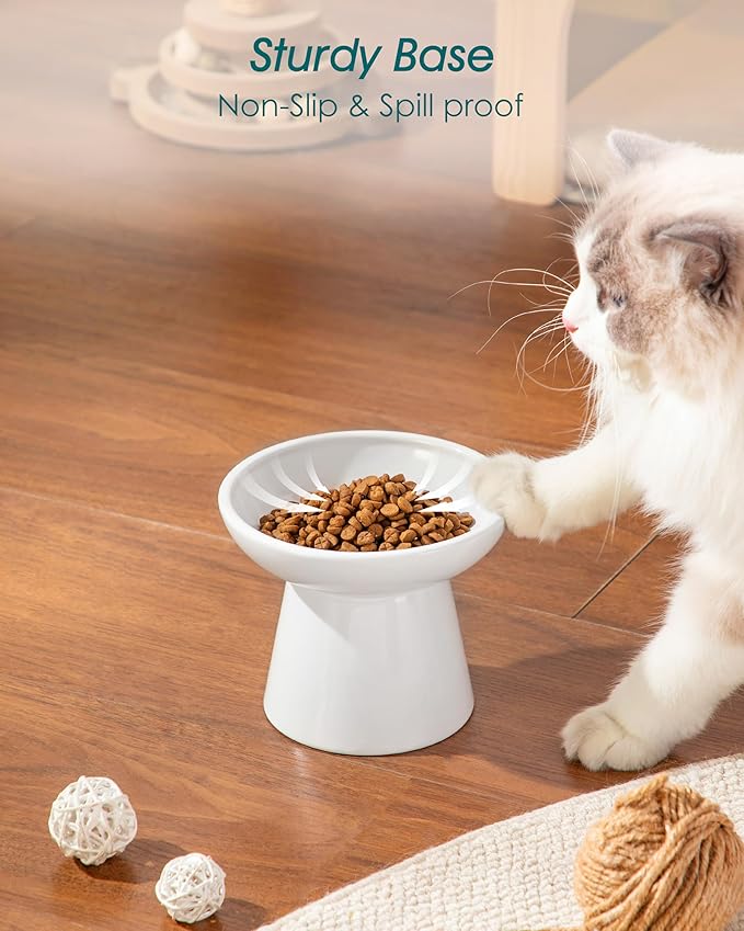 vancasso Elevated Cat Food Bowls 2-Pack, 6.2" Wide Shallow Cat Feeding Bowl for Whisker Fatigue, 5.1" Height Ceramic Raised Food Bowls for Senior Cats, Anti Vomit, White