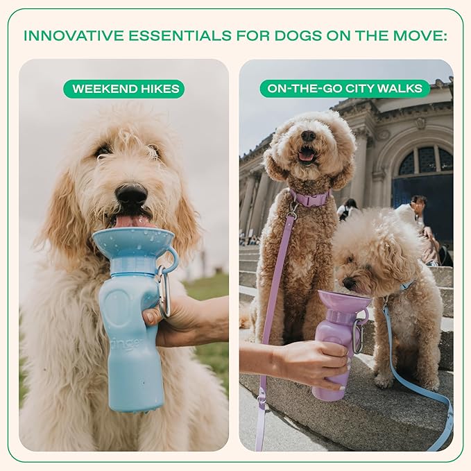 Springer Dog Water Bottle | Portable Travel Drinking Feeder Dispenser for Dogs & Puppies | As Seen on Shark Tank | Leak-Proof Bowl | BPA-Free | Outdoor Walking, Hiking & Travel | 22oz Classic Poppy