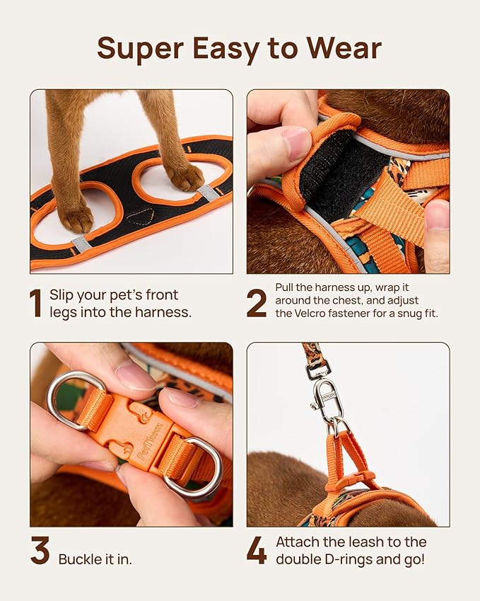 PetThem Upgraded Cat Harness and Leash Set - Step-in Escape Proof Adjustable Cat Harness, Comfortable Soft Lightweight, Reflective Harness for Walking, Travel, Camping (King of The Jungle, XS)