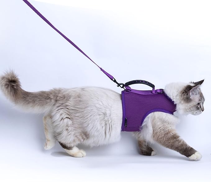 Cat Harness and Leash for Walking Escape Proof Breathable Mesh Fabric, Purple, Large, Adjustable Cat Walking Jackets with Handle, Padded Stylish Cat Vest