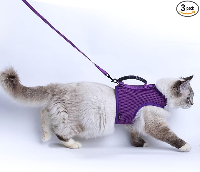Kitty Harness and Leash for Walking Escape Proof Breathable Mesh Fabric, Purple, X-Small, Adjustable Cat Walking Jackets with Handle, Padded Stylish Cat Vest