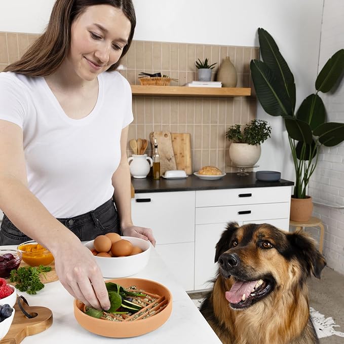 Should We Go? Slow Feeder for Dogs & Puppies, The Slowdown Bowl Silicone Slow Eating Modern Lick Mat Design, Reduces Gulping, Fits 2 Cups 7.5” Across x 1.5” Tall, Mealtime Challenge, Medium-Terracotta