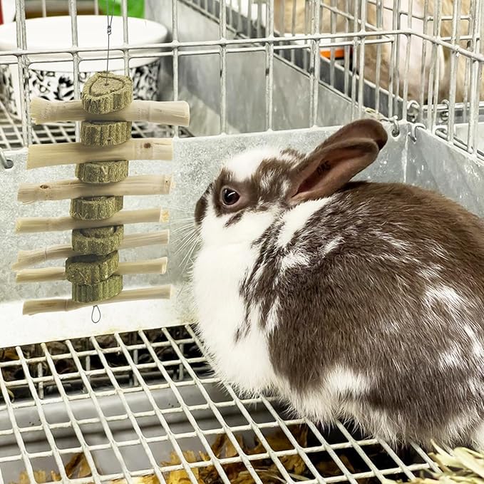 Natural Sweet Bamboo Grass Cake for Grinding Teeth,Rabbit Chew Toys Snack Hanging Guinea Pig Cake Toys String for Bunny,Chinchilla,Guinea Pigs,Squirrel,Gerbil (4PCS)