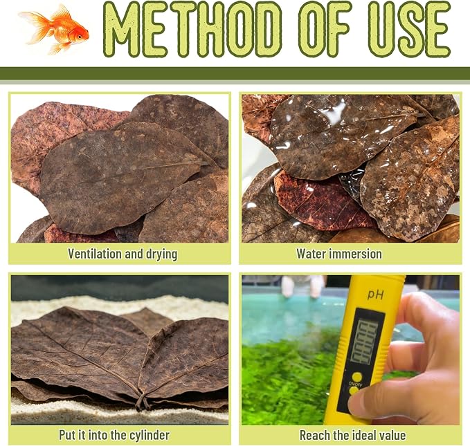LeonBach 50 Pcs Indian Almond Leaves for Aquariums, 5-8 Inches | 125g Large Catappa Leaves for Betta Fish, Creates Native Environment, Fish Shrimp Tank Decorations, Water Conditioner