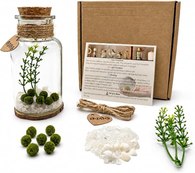 Moss Balls Glass Terrarium Kit - 7 Pcs Glass Terrarium Decor with White Crystal, DIY Aquarium and Home Decor for Desk and Room Styling