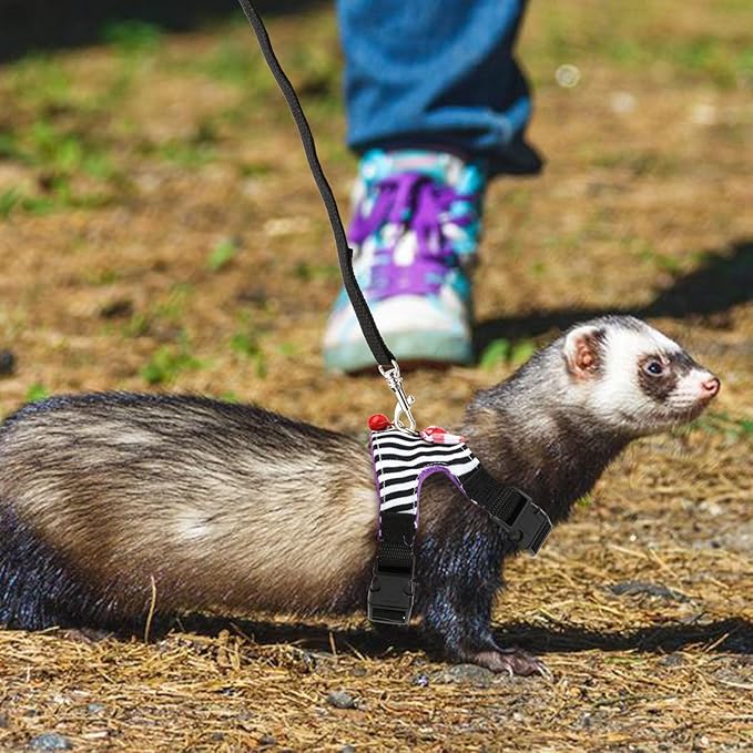 Small Pet Harness Vest and Leash Set with Bowknot and Bell Decor for Gerbil Guinea Pig Squirrel Kitten Outdoor Walking (M, Black Stripe)