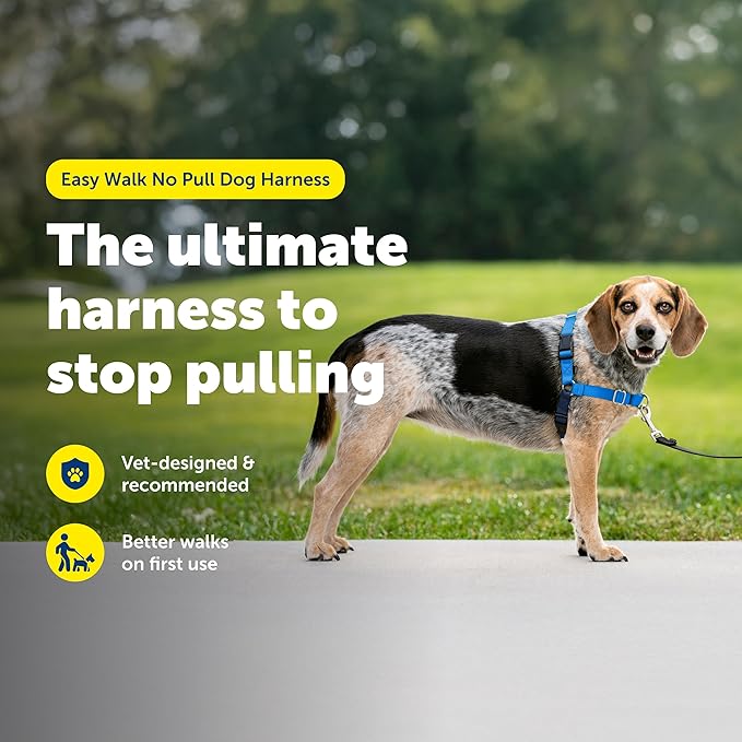 PetSafe Easy Walk Harness for Dogs - Pull-Free Walks - Patented Martingale Loop Design - Front Chest Leash Attachment - Comfort Straps - Breathable Harness Design - Small/Medium, Royal Blue/Navy Blue