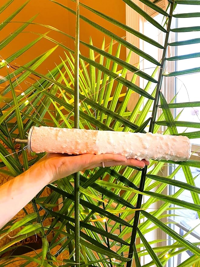Polly's Edible Cuttlebone Calcium Bird Cage Perch for Budgies, Parakeets, Amazons, Blue & Golds, Macaws and Cockatoos.… (Variety, Large)