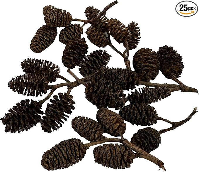 Awesome Aquatic 25 Alder Cones, Blackwater, Betta Shrimp Habitat | Natural tannins Botanicals Softwater Leaf litter Biofilm surface Water enrichment Natural décor Easy to use