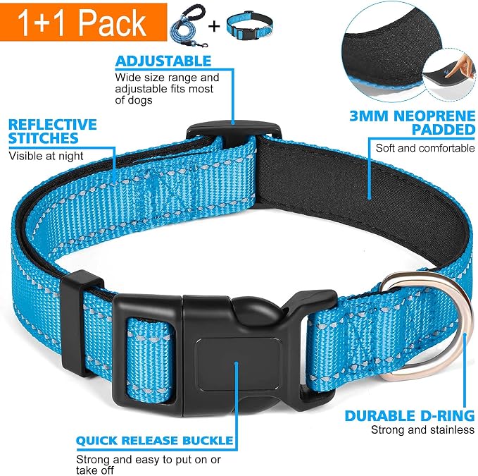 Ladoogo Reflective Dog Collar Padded with Soft Neoprene Breathable Adjustable Nylon Dog Collars for Small Medium Large Dogs (X-Small (Pack of 1), Vivid Blue Collar+Leash)