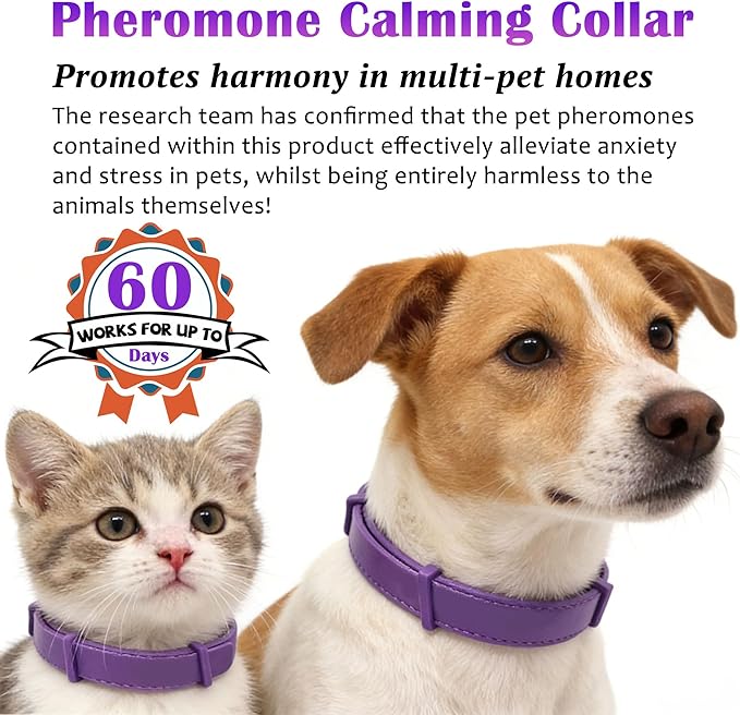 Calming Collar for Cats and Dogs — Relieves Separation Anxiety, Nervousness, and Inappropriate Urination in Dogs, ELasts Up to 8 Weeks (Purple), Adjustable Size, Suitable for All Body Types