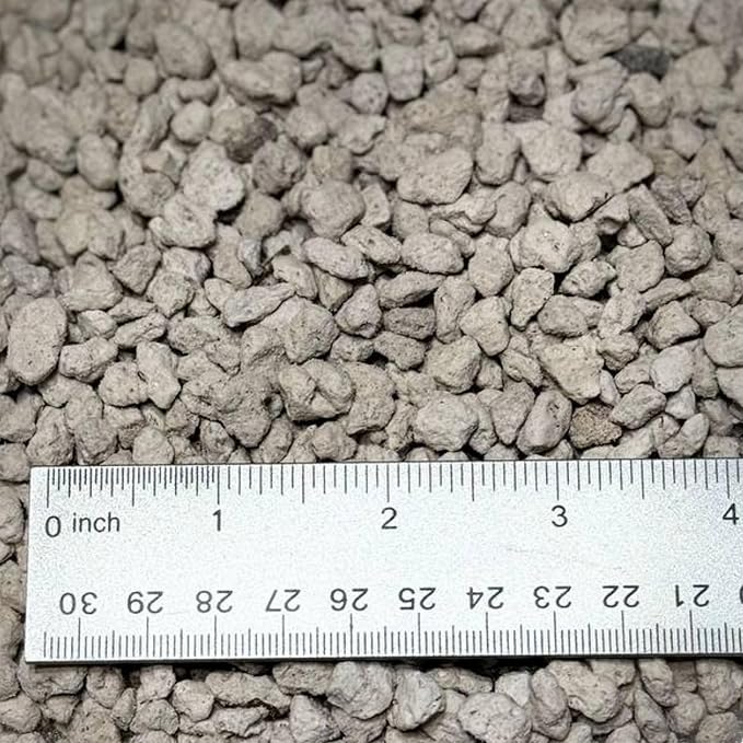 GARDENWISE Horticultural Pumice for Plants, Natural Pumice Stone Soil Amendment, 3/8-1/4 inch, Made in USA (15 quarts - 13.5 lbs)