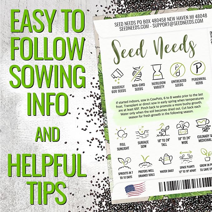 Seed Needs Catnip Seeds for Planting Nepeta cataria - Non-GMO Heirloom & Untreated Herb Seed to Plant & Grow an Outdoor Home Grown Garden (5 Packs)