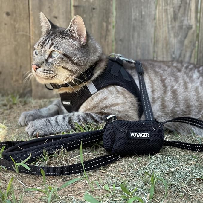 Best Pet Supplies Voyager Step-in Air All Weather Mesh Harness and Reflective Dog 5ft Leash Combo with Neoprene Handle, for Small, Medium and Large Breed Puppies - Black, Small