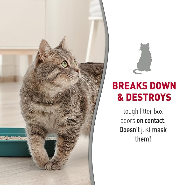 Nature’s Miracle Foam Litter Box Cleaner, Tough on Cat Urine Odors, Enzymatic Formula, 17.5 oz