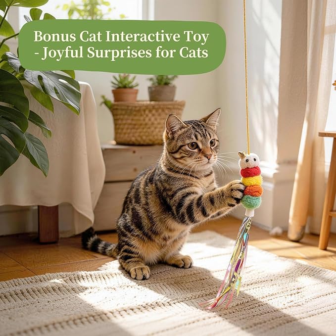 Cat Grass Kit for Indoor Cats - 5 Harvests Wheatgrass Growing Kit with Wooden Planter, Includes 6 Soil Disks, Spray Bottle, Tools & Scissors - Natural Hairball Control for Nipping & Nibbling
