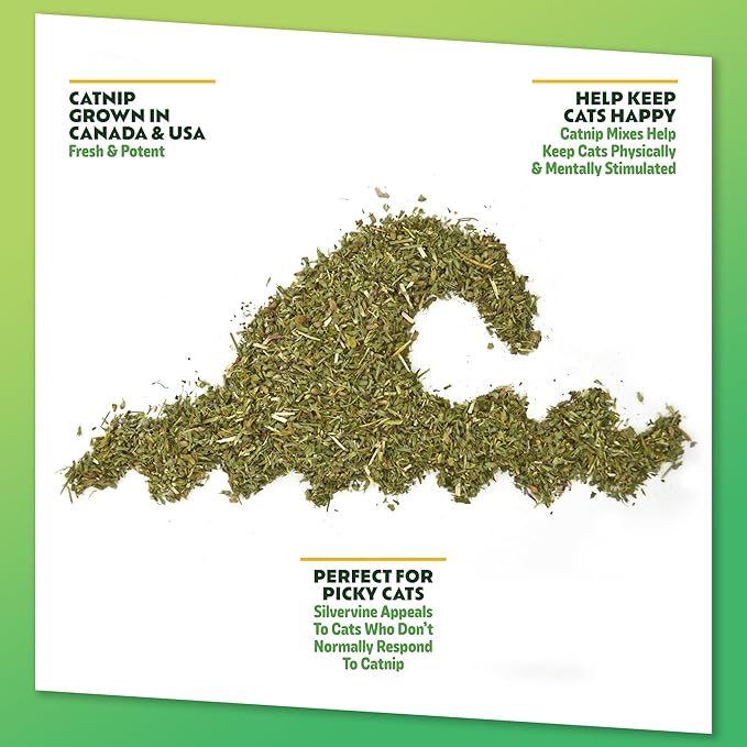 Silverine Surge - Catnip & Silvervine Mix | Hand Harvested Fresh Catnip Grown in Canada and The USA