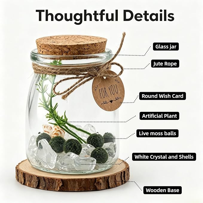 Moss Balls Glass Terrarium Kit,5 Pcs Lucky Moss Balls Pets,White Crystal,Artificial Plants,Aquarium Decor DIY Starter with Moss for Adults and Kids, Green Decor