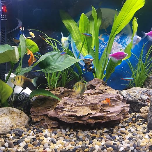 10LB Aquarium Gravel, 1/4" Pea Gravel for Fish Tank, Small River Rocks for Garden Decoration, Landscaping, Vase Filling, Flower Pot Paving(4-8MM)