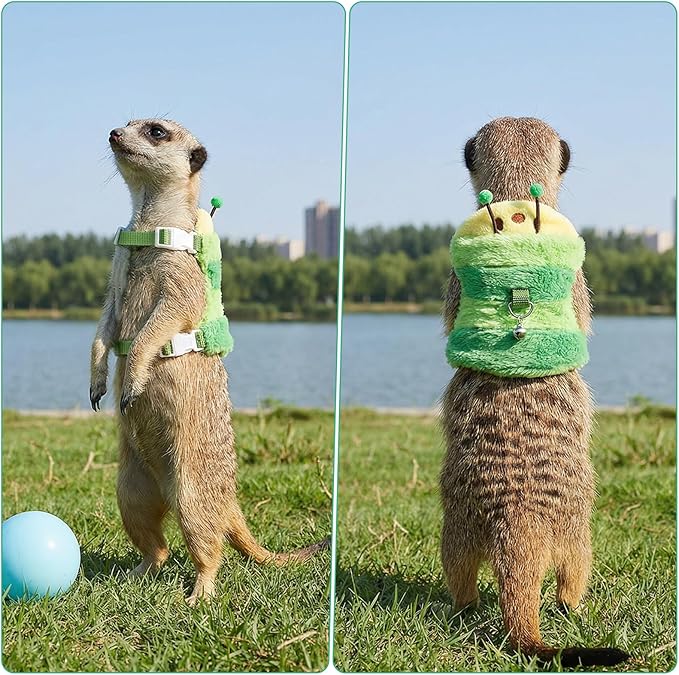Ferret Harness and Leash Set Small Animals Vest Harness with Safe Bell Walking Clothes for Baby Rabbit Guinea Pig Teacup Chihuahua Mouse and Other Small Pets