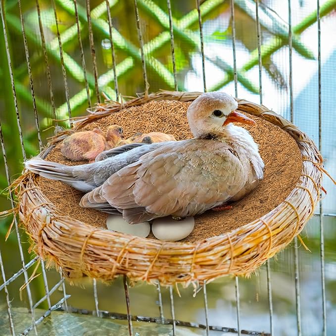 Eorbow 15 Packs Pigeon Nest Pads, Bird Breeding Mat for Chicken, Natural Coconut Fiber Bird Egg Mat, Nesting Bowl Box Pad for Parakeet Chicken, Pigeon Hatching Bedding Accessories