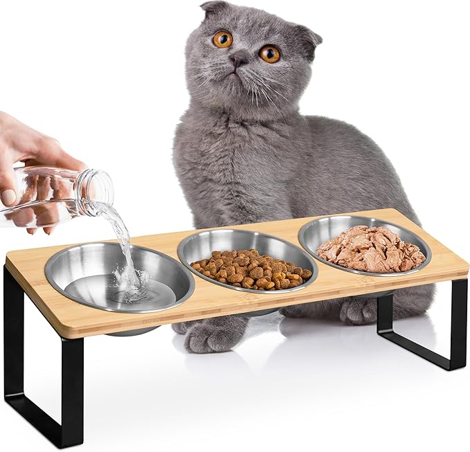 Raised cat Bowls for Indoor Cats by WinTruffles, Elevated cat Bowls, Tilted and Elevated Anti Vomiting Cat Dishes for Food and Water, Set of 3 Stainless Steel Bowl